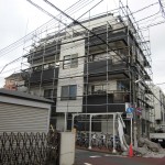 CIMG5603 CIMG5603